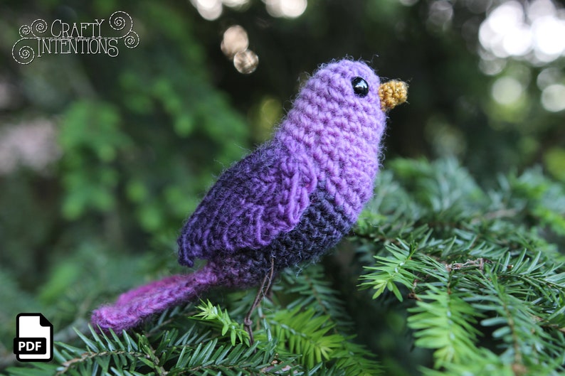 Song Bird Crochet Amigurumi Digital PDF Pattern by Crafty Intentions image 10