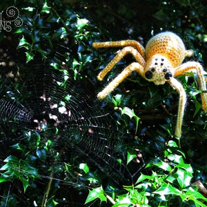 Spider Crochet Amigurumi Pattern DIGITAL PDF by Crafty Intentions image 6