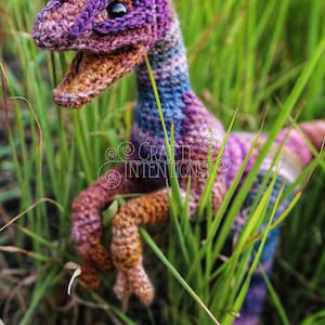 May include: A crocheted dinosaur toy in shades of purple, pink, blue, and brown, standing in tall green grass. The toy has a large head with a wide open mouth and large black eyes. The text "CRAFTY INTENTIONS" is visible in the image.