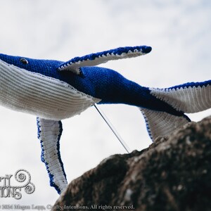 Whale Crochet Pattern by Crafty Intentions Downloadable DIGITAL PDF image 9