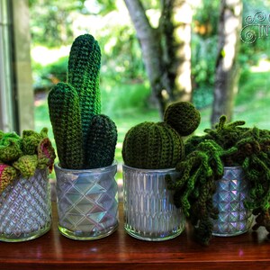 Succulent Cactus Eyeball Plant Crochet Amigurumi Digital PDF Pattern by Crafty Intentions image 7