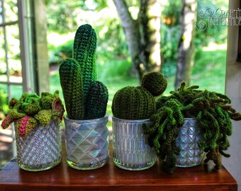多肉植物サボテンの目玉植物のかぎ針編みアミグルミデジタル PDF