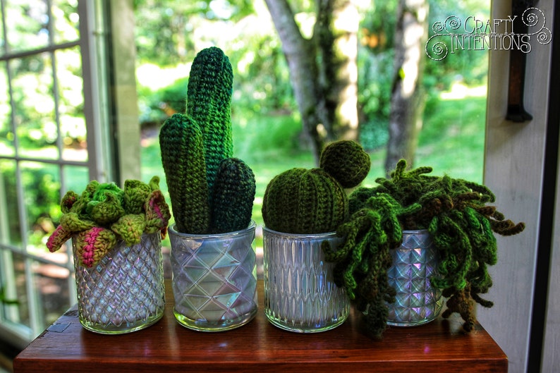 Succulent Cactus Eyeball Plant Crochet Amigurumi Digital PDF Pattern by Crafty Intentions image 7