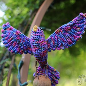 Song Bird Crochet Amigurumi Digital PDF Pattern by Crafty Intentions image 3