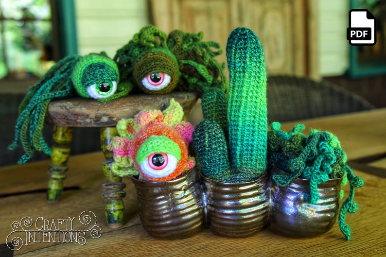 Succulent Cactus Eyeball Plant Crochet Amigurumi Digital PDF Pattern by Crafty Intentions image 4