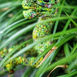 May include: A green crocheted dinosaur toy with a black eye, partially hidden in green grass.