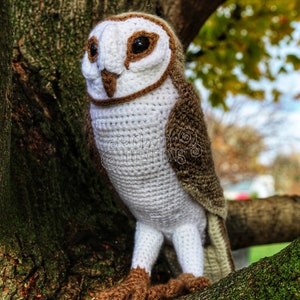 Barn Owl Crochet Pattern by Crafty Intentions DIGITAL PDF Downloadable image 6