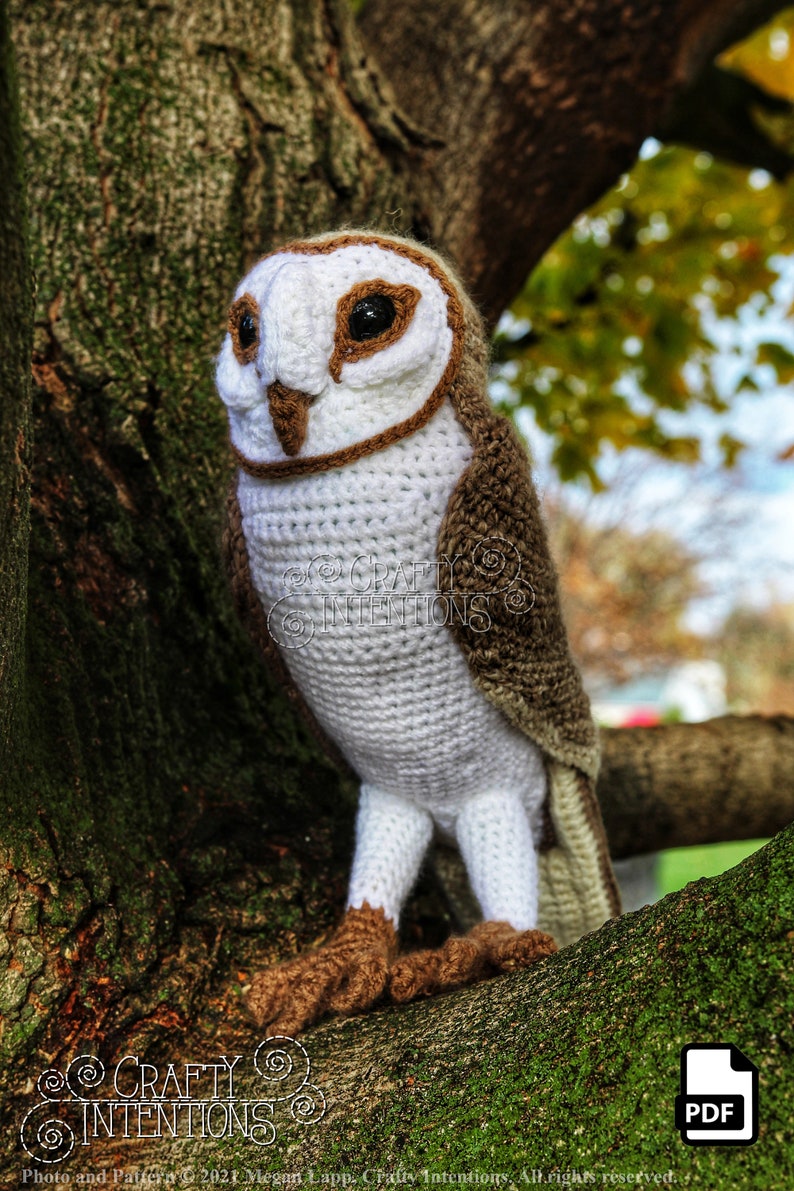 Barn Owl Crochet Pattern by Crafty Intentions DIGITAL PDF Downloadable image 6