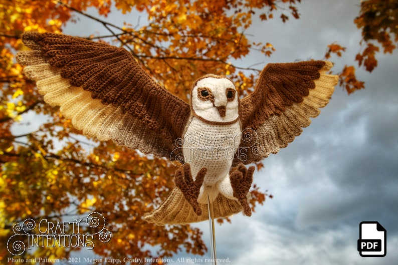 Barn Owl Crochet Pattern by Crafty Intentions DIGITAL PDF Downloadable image 10