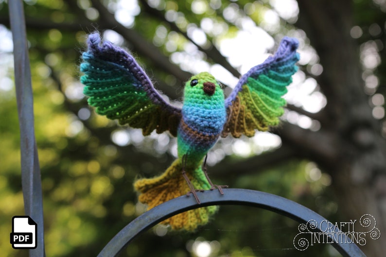 Song Bird Crochet Amigurumi Digital PDF Pattern by Crafty Intentions image 8