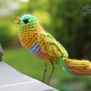 Song Bird Crochet Amigurumi Digital PDF Pattern by Crafty Intentions image 4