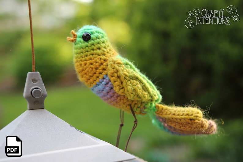 Song Bird Crochet Amigurumi Digital PDF Pattern by Crafty Intentions image 4