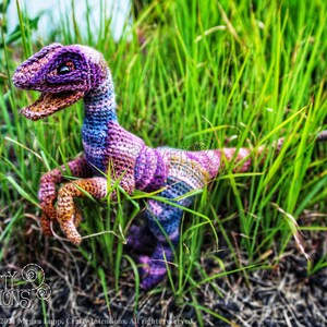 May include: A crocheted dinosaur toy in shades of purple, blue, and brown, posed in a grassy field. The dinosaur has a long tail and three claws on each foot.