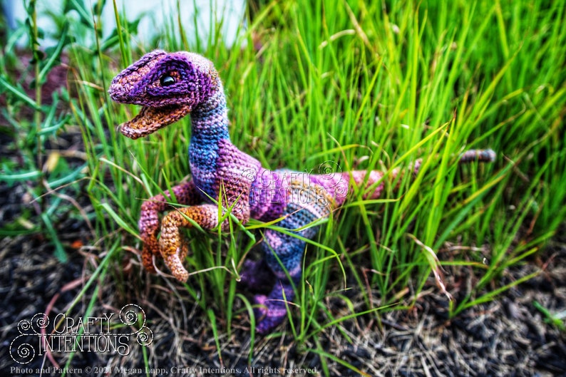 May include: A crocheted dinosaur toy in shades of purple, blue, and brown, posed in a grassy field. The dinosaur has a long tail and three claws on each foot.