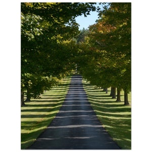 Tranquill Path Poster | Serene Natur Wandkunst | Hochwertiges, umweltfreundliches Dekor | Premium-Mattdruck | Haus und Büro Dekor