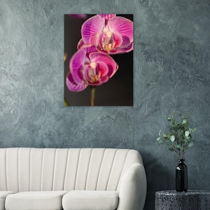 Orchid Elegance Poster | Premium Matte Art Print | Floral Wall Decor | High-Quality Botanical Art | Home and Office Decoration