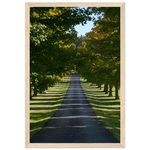 Tranquill Path Holzgerahmtes Poster | Serene Natur Wandkunst | Hochwertiges, umweltfreundliches Dekor | Premium-Mattdruck | Haus und Büro Dekor