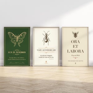 Può includere: Tre stampe artistiche incorniciate con temi botanici e ispiratori. La prima presenta una farfalla e il testo "LUX IN TENEBRIS". La seconda ha una formica e il testo "VADE AD FORMICAM". La terza mostra un'ape e il testo "ORA ET LABORA".