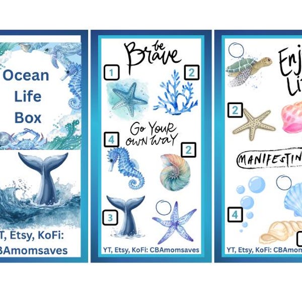 Ocean Box Challenge