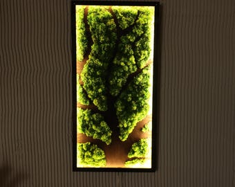 Preserved moss tree wall art, Natural dried moss wall decor, Wall moss tree decor with led, Moss Tree wall art, Aesthetic home decor