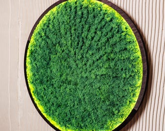 Preserved moss wall art, Natural dried moss wall art, Oversized moss wall art, Wall moss decor with led, Aesthetic Moss wall art