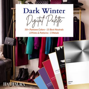 May include: A digital palette titled "Dark Winter" with a variety of colors, prints, and neutrals. The image displays a rack of colorful clothing, shoes, and accessories. Color swatches and metal samples are also included.