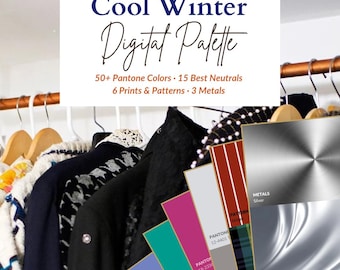 Cool Winter Color Palette | Cool Winter Digital Swatch | Wardrobe Color Guide | Seasonal Color Fan | Instant PDF Download