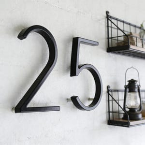 Pode incluir: Números de casa em metal preto, os dígitos 2 e 5, montados numa parede branca texturizada. Os números estão numa fonte arrojada e moderna. Prateleiras decorativas com molduras de metal e prateleiras de madeira no fundo.