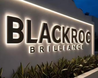 Custom Business Sign, LED Backlit Channel Letters, Illuminated Storefront Logo