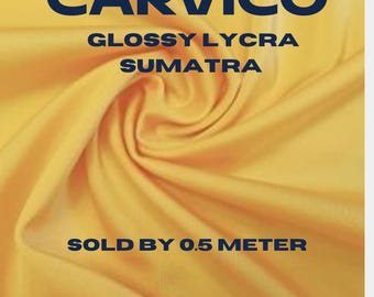 Carvico Glossy Lycra Sumatra  – High-quality Italian swimwear and activewear – Sold by 0.5 Meter