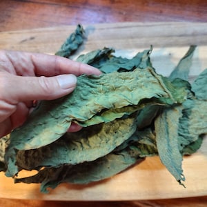 Dried Russian comfrey, whole leaf, Bocking 14, Symphytum x uplandicum, no stems, 100% naturally grown in the United States