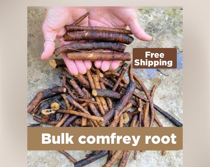 Bulk root cuttings by the pound, WITHOUT crown, Bocking 14 Russian ...
