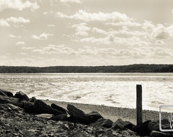 Bw Photograph Beach Tides Shore Digging Clams Ii Etsy - 