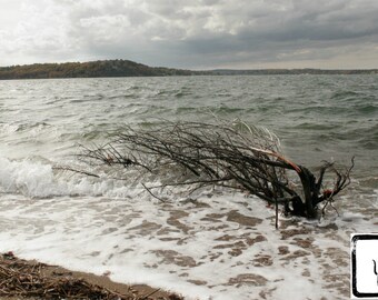 Bw Photograph Beach Tides Shore Digging Clams Ii Etsy - 