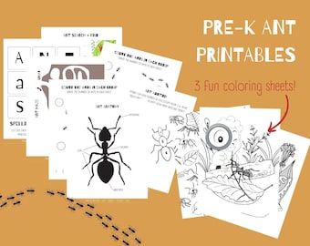 Ant Printables - Ant themed Coloring Sheets and Activities for Kids