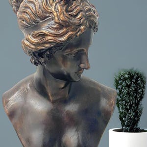 Venüs Bust Statue: French Baroque Style Sculpture