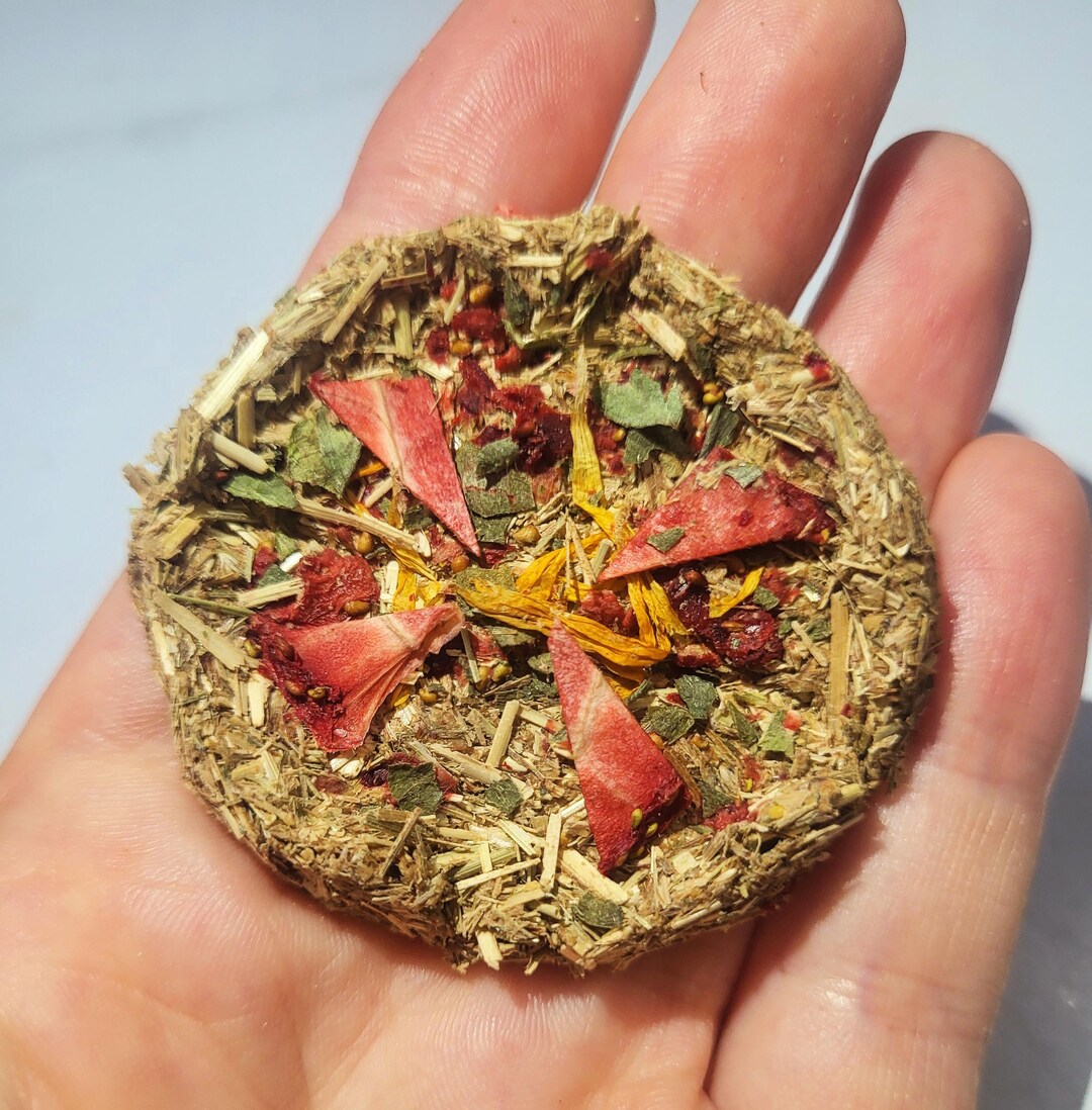 Curated visual reference: Visual Reference: Dinky Berry Pizza Mini Pizza Treat For Small Animals Rabbits