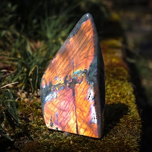 Puede incluir: Una piedra preciosa de labradorita pulida, de forma triangular. La piedra muestra un vibrante juego de colores, con tonos naranja, rosa y azul. La superficie es brillante, sobre un fondo natural y musgoso. La piedra mide aproximadamente 10 cm de altura.