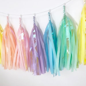 Tissue Tassel Garland Iridescent Pastel Rainbow Unicorn Party Decor Rainbow Decor image 3