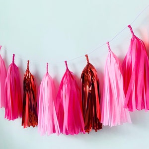 Tassel Garland,Pink tassel garland,tissue paper garland,valentine  garland,valentine banner,Valentine decoration,Pink and red,custom garland