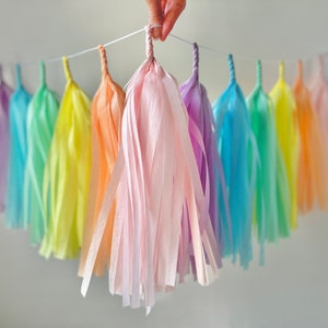 Pastel Rainbow Tassel Garland Kids Room Decor Room decor Dorm Decor Nursery Decor Photo Prop Rainbow Baby Birthday PRE-MADE image 6