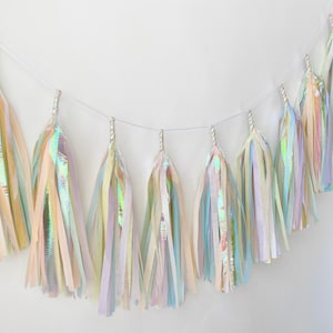 Iridescent Sherbet Pastel Rainbow Tissue Paper Tassel Garland photo prop PRE-MADE