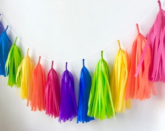 Bright Rainbow Tissue Tassel Garland - Pre-made - Girls Room Decor - Room decor - Nursery Decor - Photo Prop