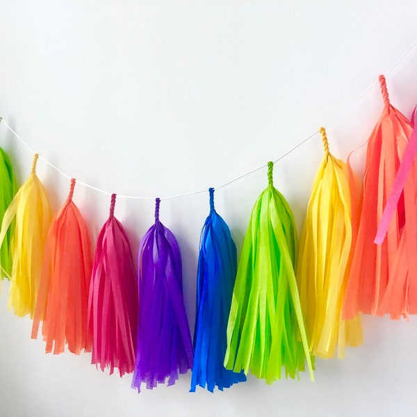 Bright Rainbow Tissue Tassel Garland - Pre-made - Girls Room Decor - Room decor - Nursery Decor - Photo Prop