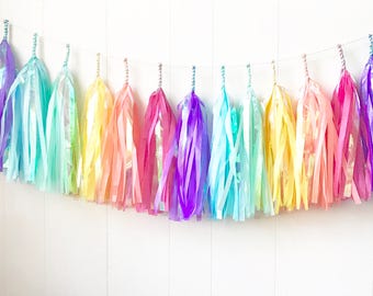 Iridescent Rainbow Tissue Tassel Garland - Wedding Decor - Room decor - Nursery Decor - Photo Prop