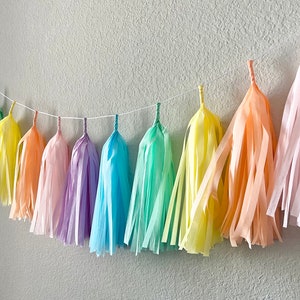 Pastel Rainbow Tassel Garland Kids Room Decor Room decor Dorm Decor Nursery Decor Photo Prop Rainbow Baby Birthday PRE-MADE image 7