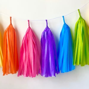 Bright Rainbow Tassel Garland - Girls Room Decor - Room decor - Nursery Decor - Photo Prop