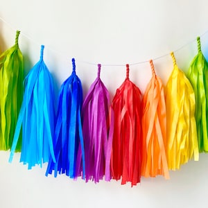 ROYGBIV Rainbow Tassel Garland - Party -Nursery Decor - Photo Prop