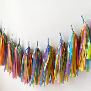 Iridescent Rainbow Swirl Tassel Garland photo prop