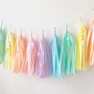 Tissue Tassel Garland Iridescent Pastel Rainbow Unicorn Party Decor Rainbow Decor image 1